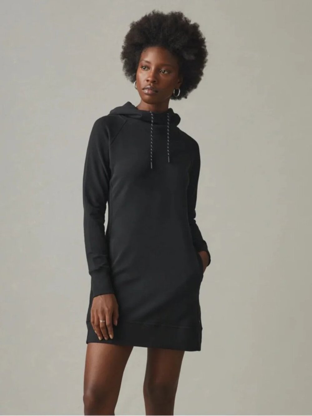 American Giant Sweatshirt Dress